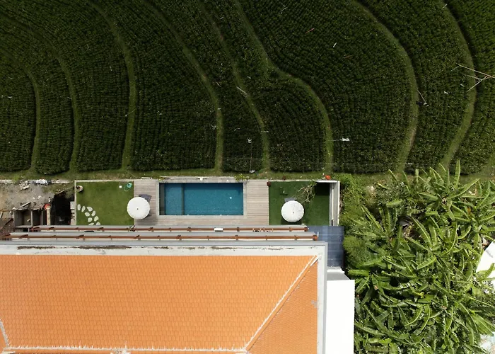 Backyard Gasthuis