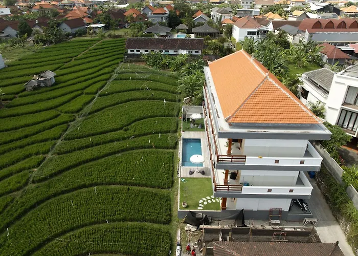 Backyard Canggu