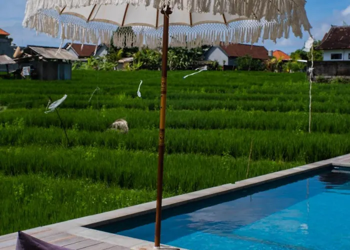 Backyard Canggu
